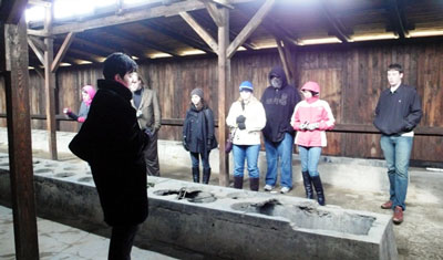 Auschwitz barracks