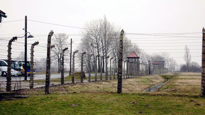 Auschwitz fences