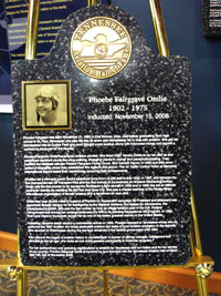 Plaque