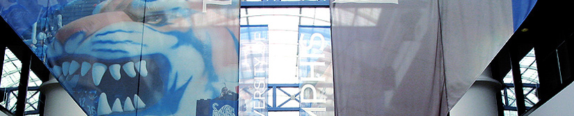 University of Memphis Photo