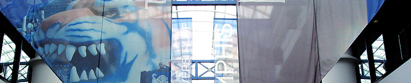 University of Memphis Photo