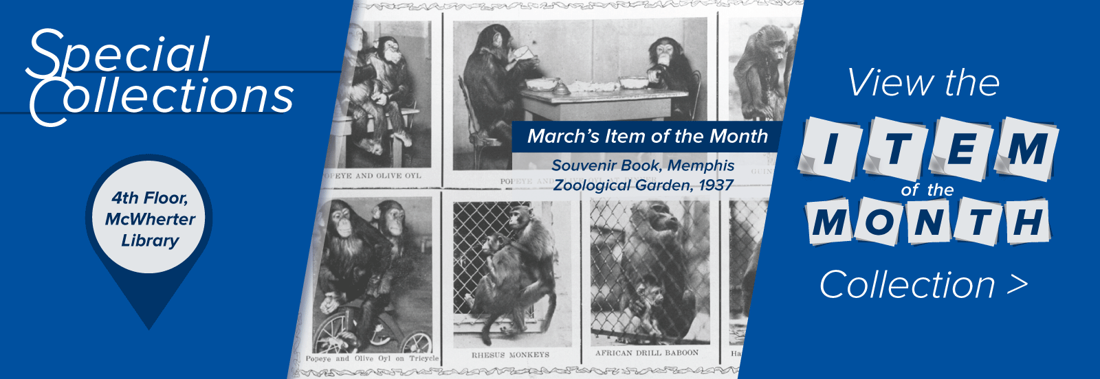 Special Collections on the 4th floor of Ned McWherter Library. Your space for inspiration, discovery and creation Special Collections on the 4th floor of Ned McWherter Library. Your space for inspiration, discovery and creation