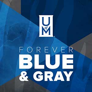forever blue and gray icon