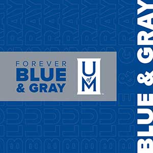 Forever Blue and Gray icon