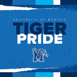 Tiger Pride icon