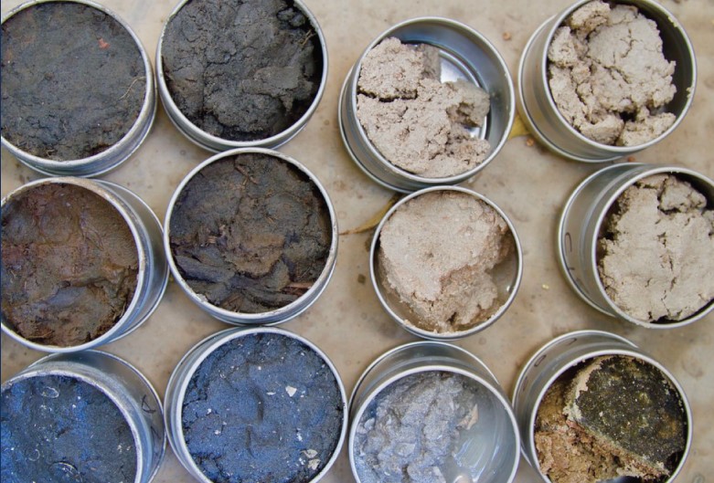 rock soil and sediment samples