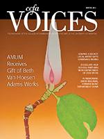 Cover art for Winter 2013 Issue of Voices