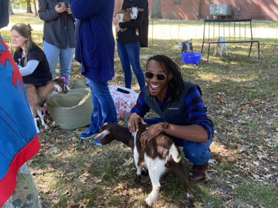 People petting goats