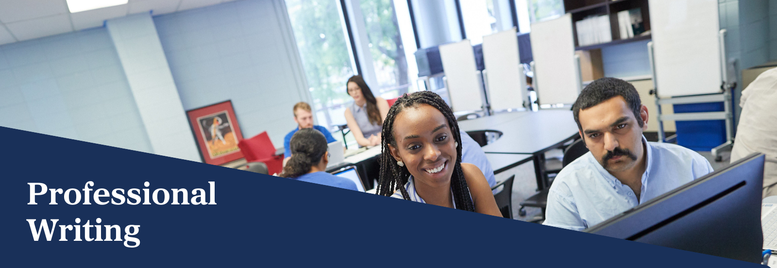 Professional Writing Banner Professional Writing Banner