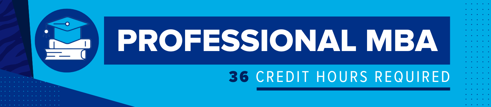 Professional MBA - 36 credit hours