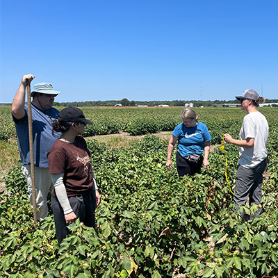 ACRE staff in farm field studying plants