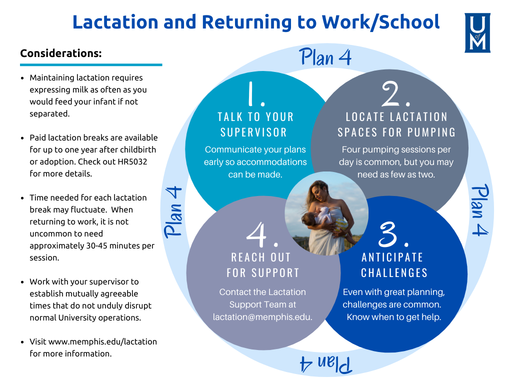 Lactation and Returning to Work/School Infographic