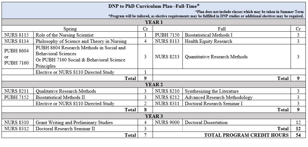 DNP Curriculum