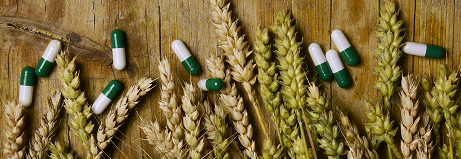 wheat grains and medicinal pills photo