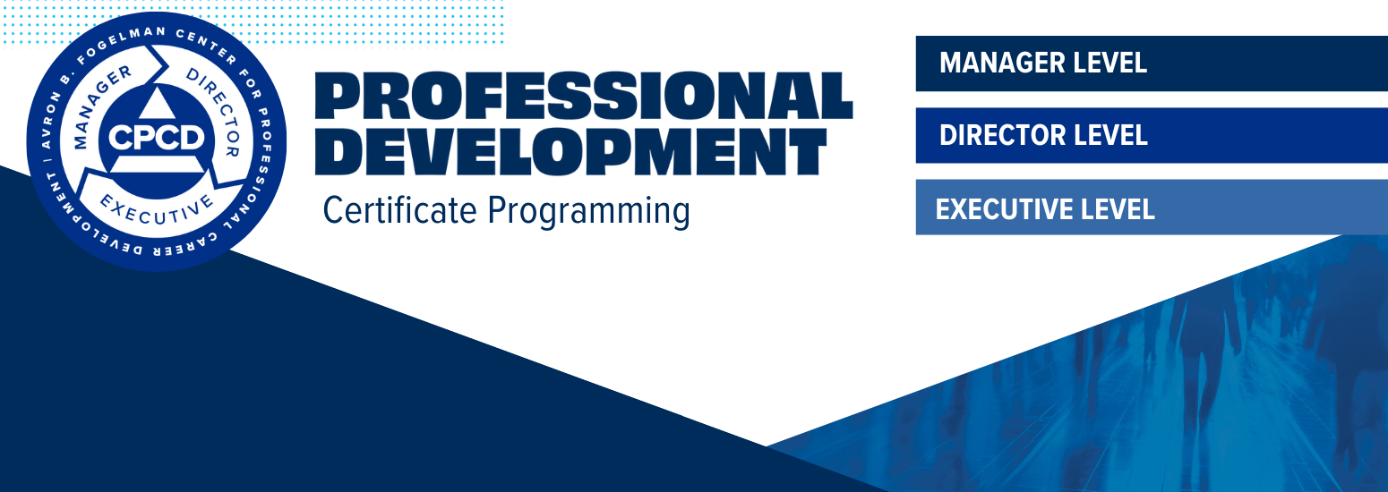 Professional Development Certificate Programming