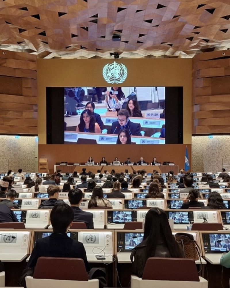 Henry Greenberg in Conference at Global Model WHO 2024, Geneva