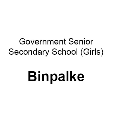 Logo Government Senior Secondary School, Binpalke, India