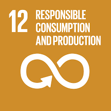 Logo of SDG12