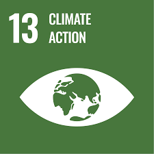 Logo of SDG13