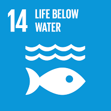 Logo of SDG14