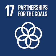 Logo of SDG17