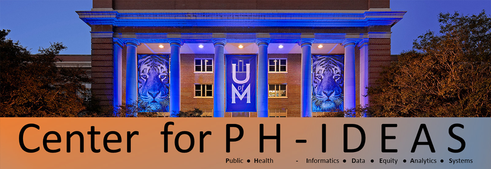 Title: Center for Public Health IDEAS (Public Health Informatics, Data, Equity, Analysis Systems)