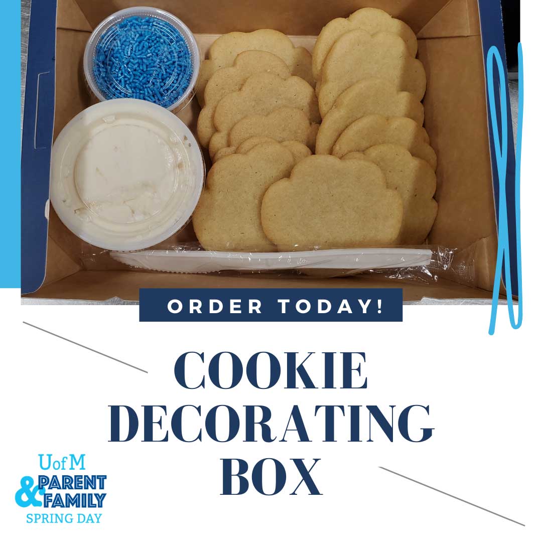 Cookie Decorating Box Image