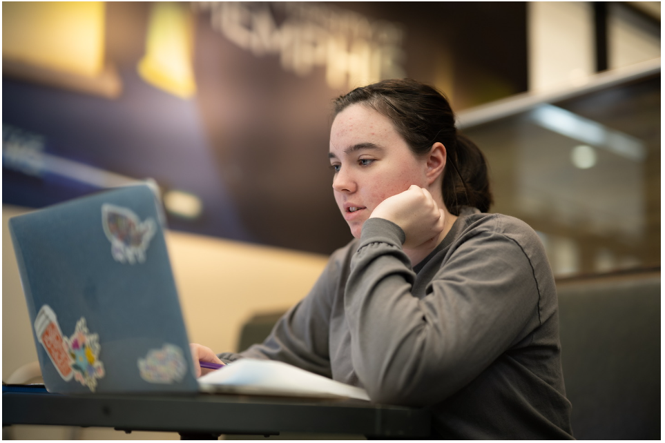 UofM Global student studying on computer