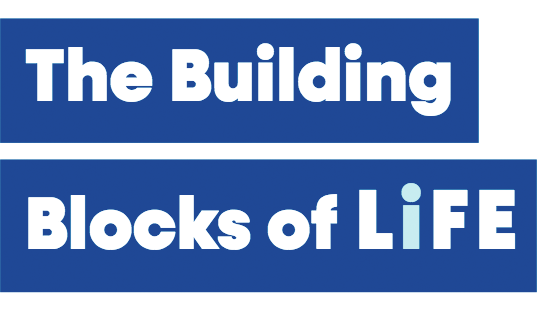 The Building Blocks of LiFE